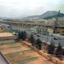 부산중앙여자고등학교 (1983년) 이미지