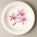 마음이머무는곳 이미지