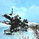 구천계곡야영장 | 눈☃️ 산행의 메카 덕유산