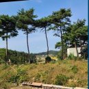 무창포공인중개사사무소 네이버블로그