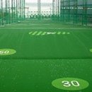 그린파크골프랜드 이미지