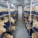 사곡농장 이미지