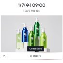 2026 새해 뷰티신상 정리 다이소데이 정샘물 파운데이션 매진 후 구매 신상 알림 필수