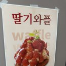 발루토피비 | 이태원 카페 발루토피비 딸기와플 후기