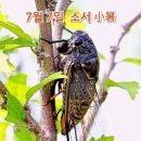 소서