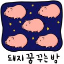 정동진순대국 - 남동구 하촌로 52 | 정동진순대국