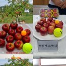 (주)아주농장 이미지