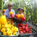 봉정농장 이미지