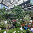 양재화훼공판장 화장실 이미지