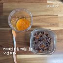 육아휴직 중인 공대 부부의 주간밥상 11월 넷째주