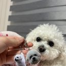 무빙코인노래연습장 이미지