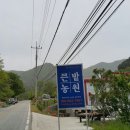 큰밭농원 이미지