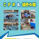 키즈웨일즈 네이버블로그