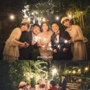나비컴퍼니 이미지