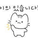 순두부찌개마을 이미지