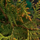 갈산한의원 이미지