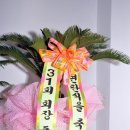 삼향동초등학교 이미지