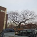 부천여자중학교 이미지