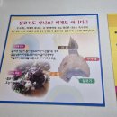 화왕산오토캠핑장 | 12.12.~12.13. 화왕산 오토캠핑장 / 창녕 삼오식당 수구레국밥 선지국밥