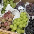 연 치과기공소 이미지