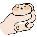 골든햄스터분양 햄츠비 이미지