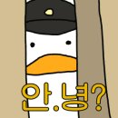 스튜디오이카루스 이미지