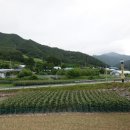 탕곡리 마을회관 이미지