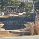 북극곰마켓 | 꿈결 같은 홀리데이! 파라다이스시티크리스마스 마켓 방문 후기