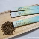 인셀덤팩토리