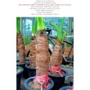 알로만농원 이미지