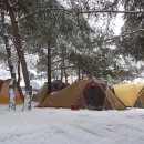 캠핑에 계절이왔습니다...... 다양한 텐트들... 이미지