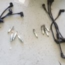 일광카센타 이미지