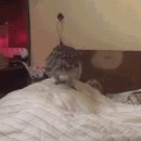 부엉이PC방 이미지