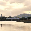 2025 대구 하중도 정원박람회 이모저모 이미지