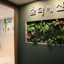 숲속세신 이미지