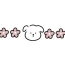 고깃집궁전냉면