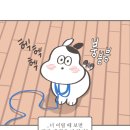 멍멍냠냠 이미지