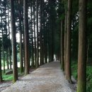 보성택시앞 이미지