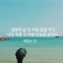 짱다방 이미지