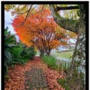 상  지 | 가락시장 방어회 가격 수산시장 상차림 내돈내산 비용 후기