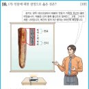 73 이미지
