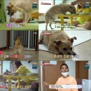 하은농장2 이미지