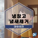 냉장고냄새제거 소주 베이킹소다 그리고 전용 탈취제 제품 추천