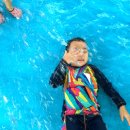 어푸어푸 이미지