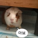 비전공자 국비지원 개발학원 면접후기 - 쌍용교육센터 kh정보교육원