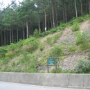 칠원주유소 이미지