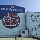 대구축협사료공장 | 지오라이팅 (카라스포츠조명 및 테라서치라이트) 대구축협사료공장 설치사례