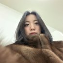 제나코스 이미지