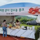 토마토유통