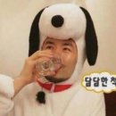 또또모터스 이미지